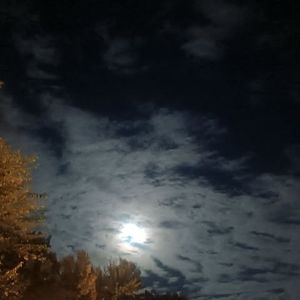 Meet your Posher, Paula